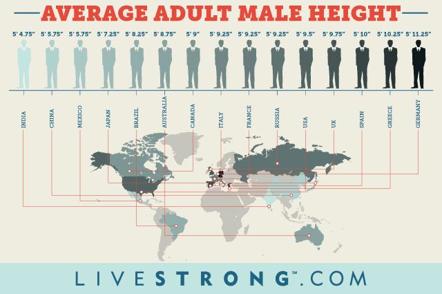 Average height of men around the world