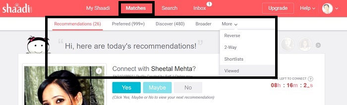 shaadi.com profile matches