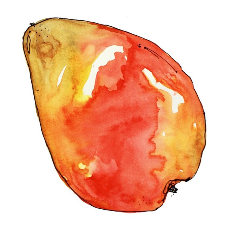 The King Of Fruits Meets Amazing Art! The King of Fruits